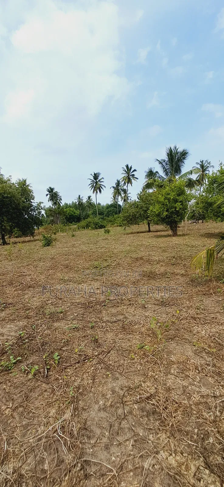 For Sale 2 Acres Land Msambweni in Diani