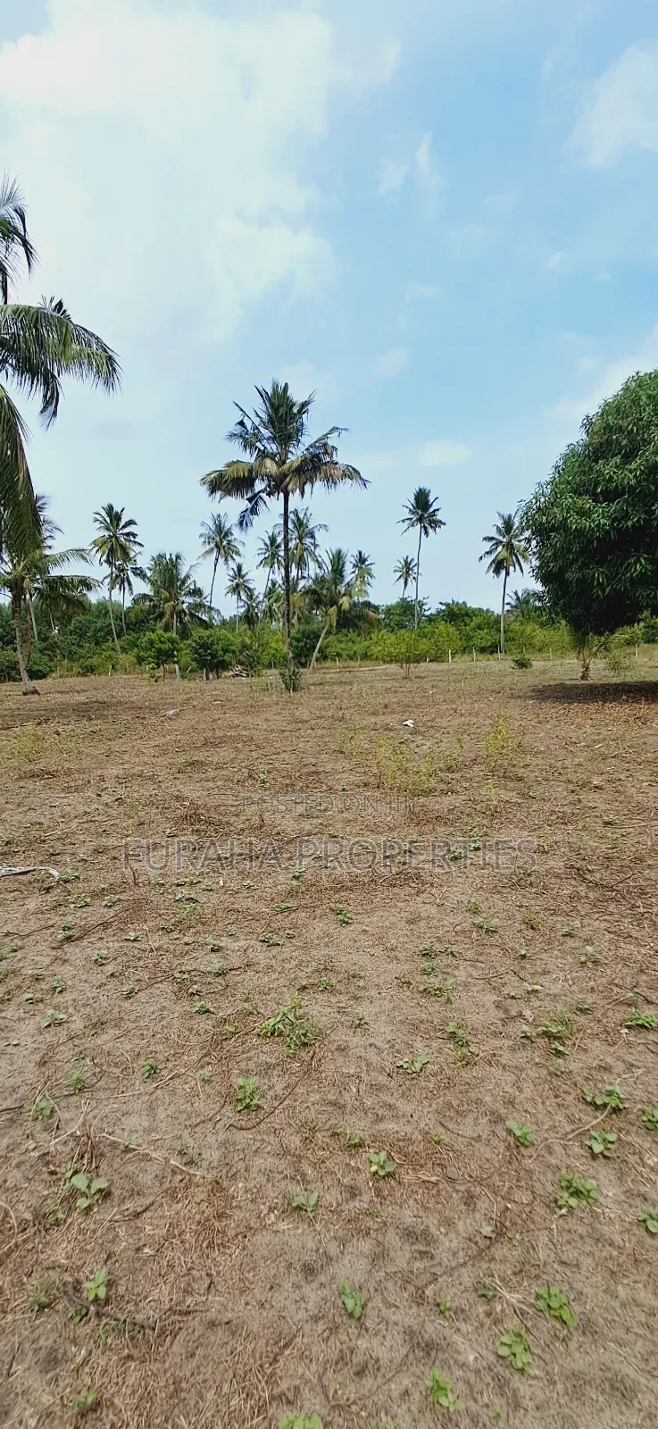 For Sale 2 Acres Land Msambweni in Diani