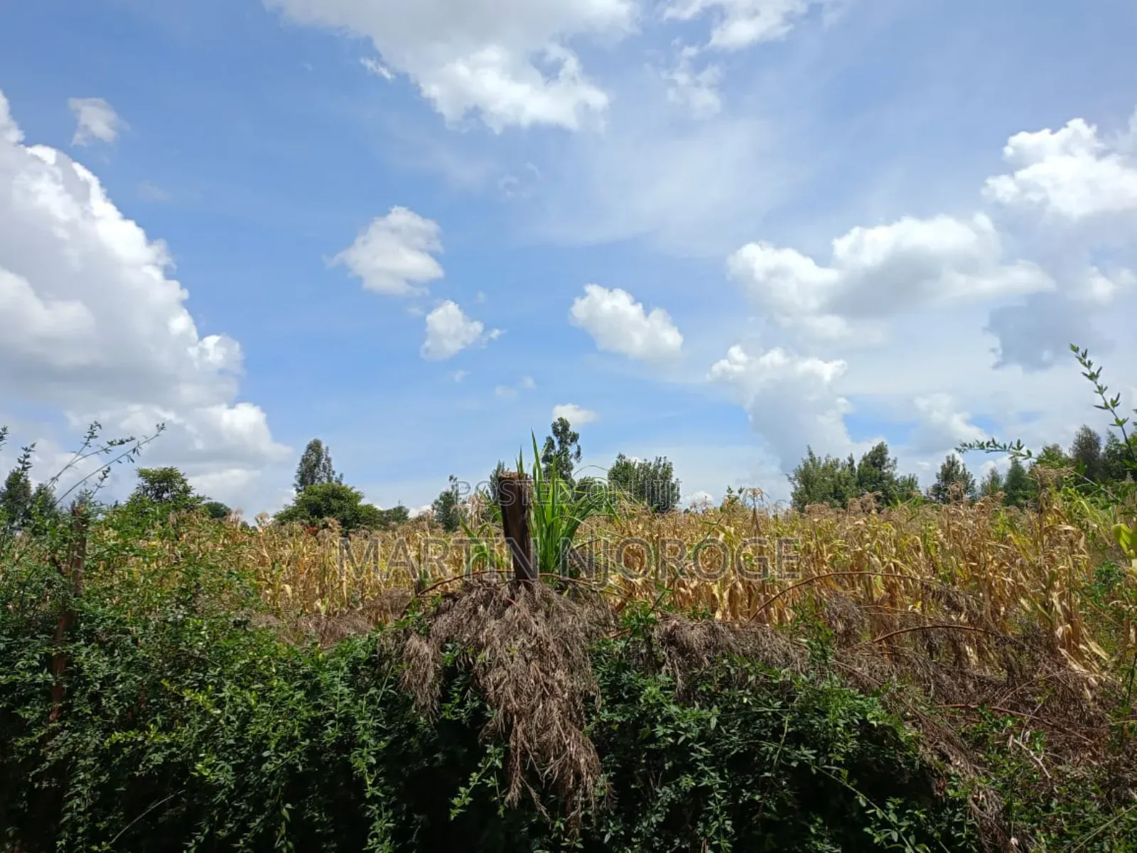 3⁄4 Acre Plot Royal in Ndeiya