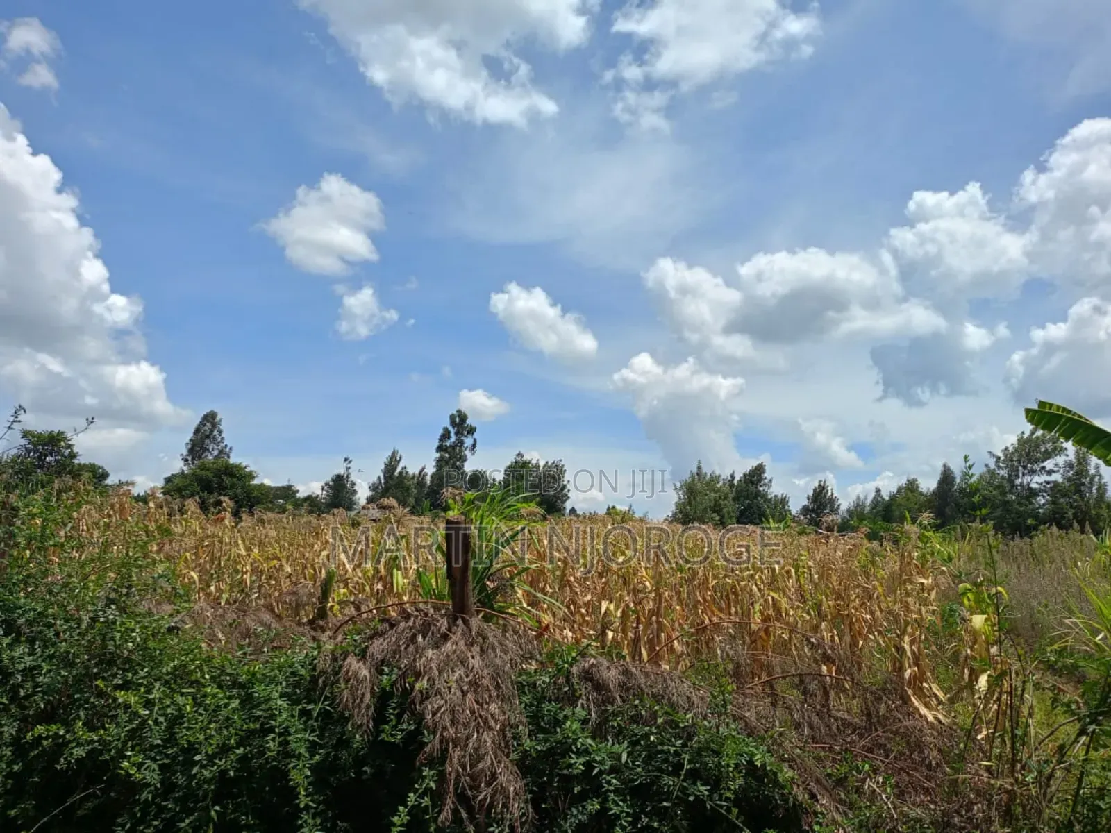 3⁄4 Acre Plot Royal in Ndeiya