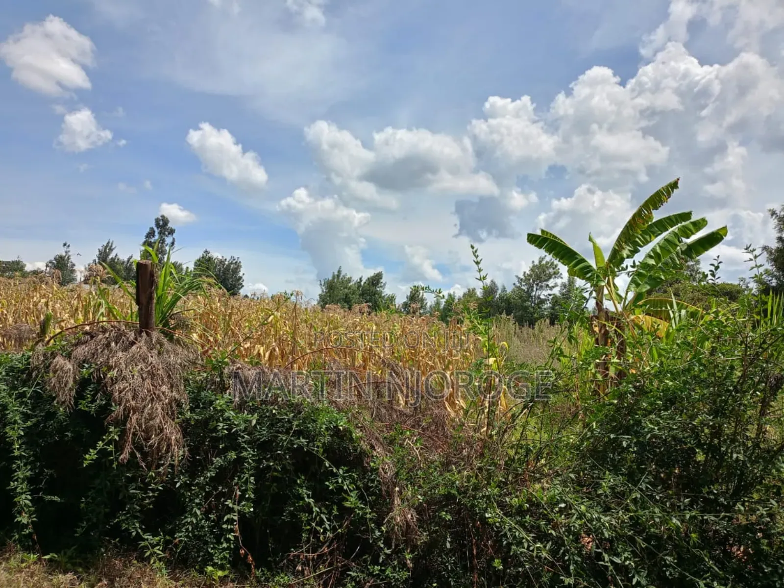 3⁄4 Acre Plot Royal in Ndeiya