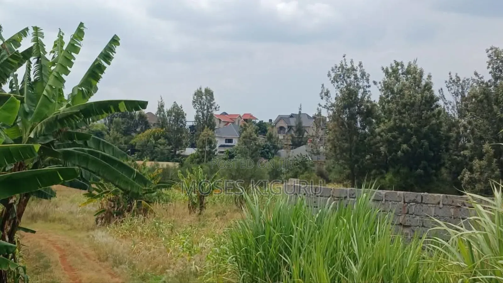 Ruiru, Mugutha 50x100 Plots in Ruiru