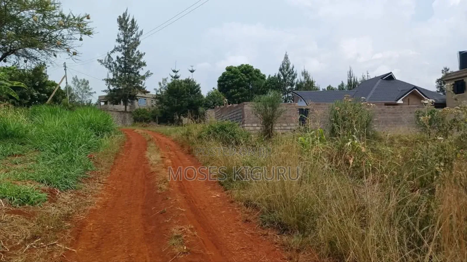 Ruiru, Mugutha 50x100 Plots in Ruiru
