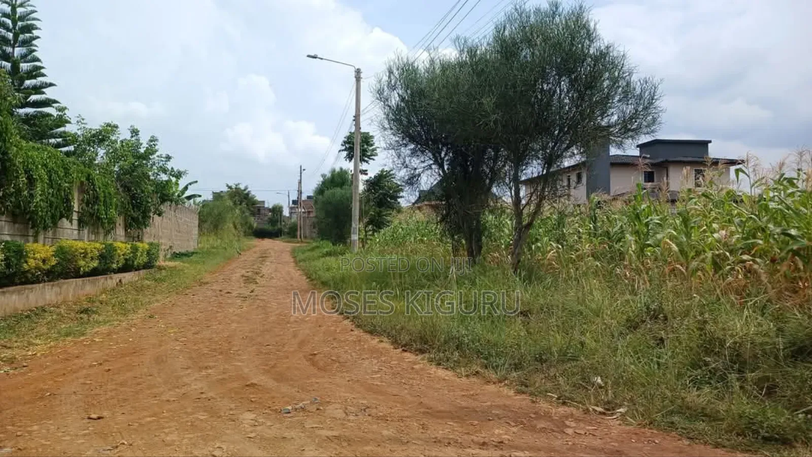 Ruiru, Mugutha 50x100 Plots in Ruiru