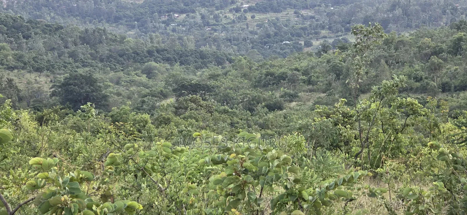 Makuyu 20 Acres for Sale. in Makuyu