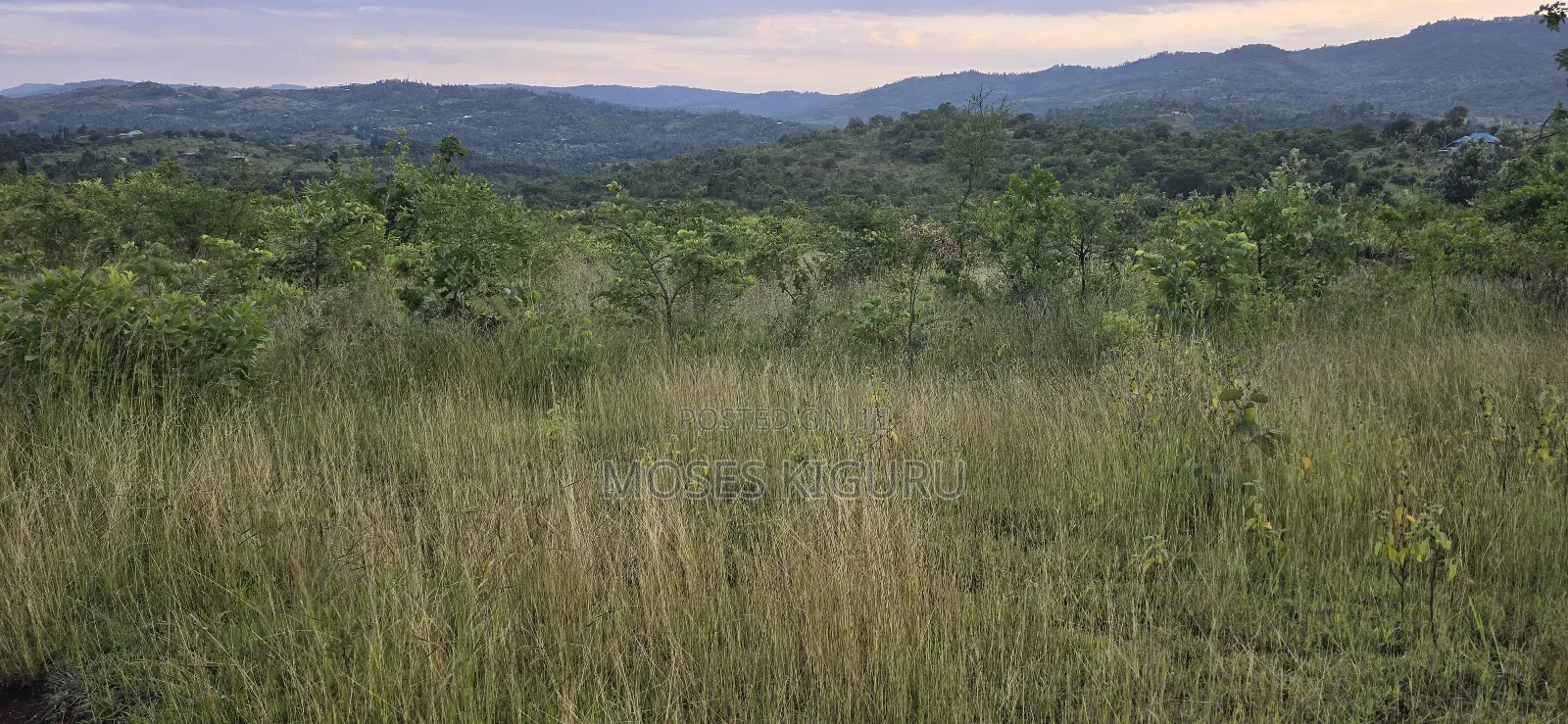 Makuyu 20 Acres for Sale. in Makuyu