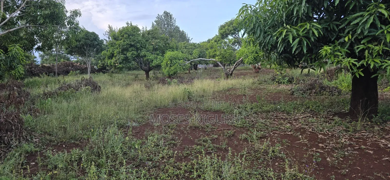 Makuyu 20 Acres for Sale. in Makuyu