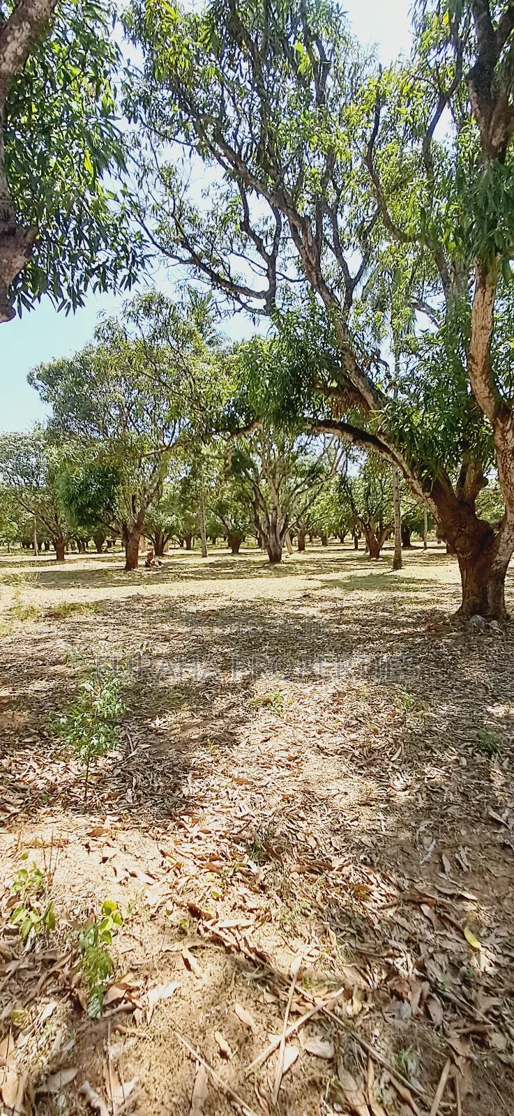 For Sale One Acre Land Mtwapa in Mtwapa