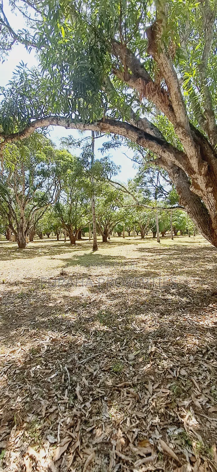 For Sale One Acre Land Mtwapa in Mtwapa