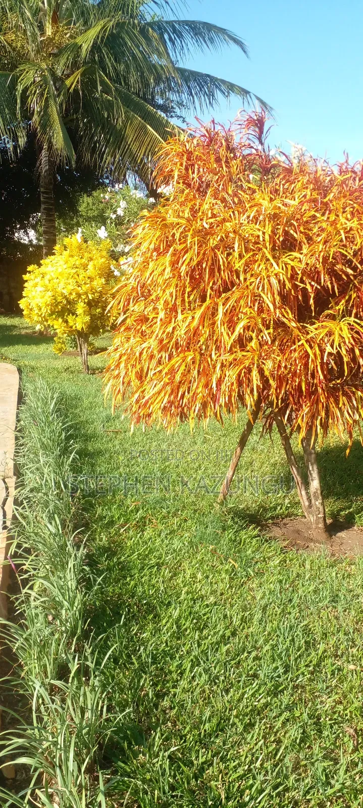 Furnished 5bdrm House in Coconut Groove 3 End, Ukunda for sale in Ukunda