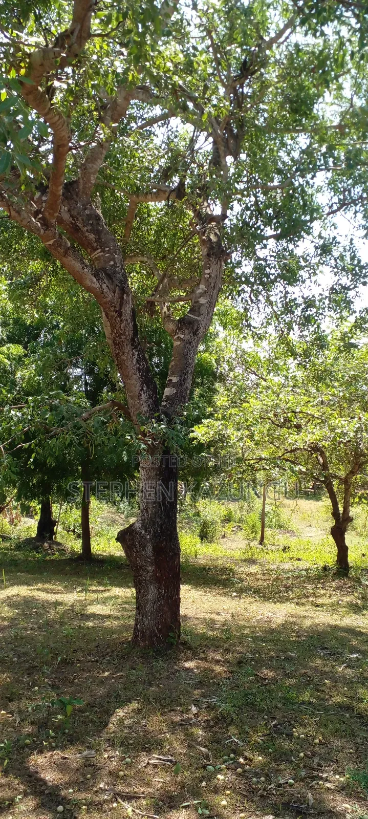 1 Acre Plot On Sale Between Galu Kinondo Beach Zone. in Ukunda
