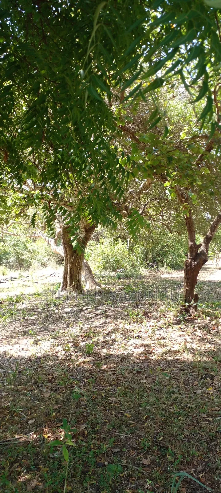 1 Acre Plot On Sale Between Galu Kinondo Beach Zone. in Ukunda