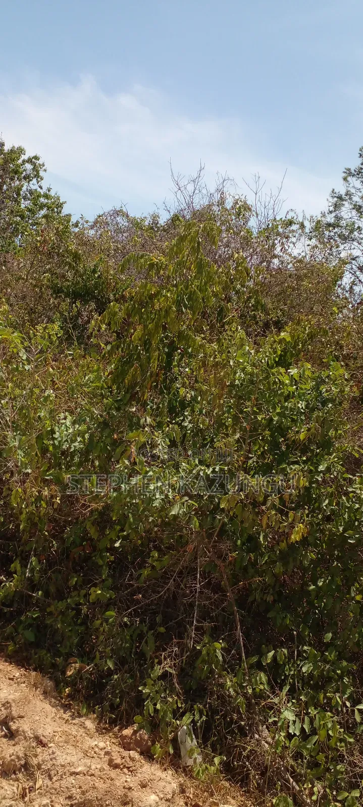 1 1/2 Plot on Sale on 2nd Beach Row, in Galu Beach. in Ukunda