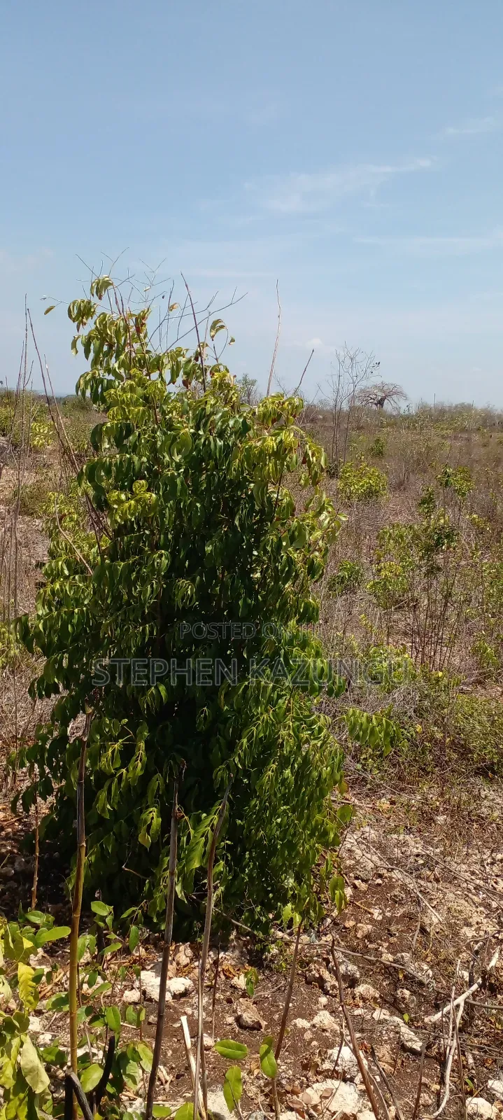 1 Acre Half Plot on Sale in Galu Beach Zone. in Ukunda