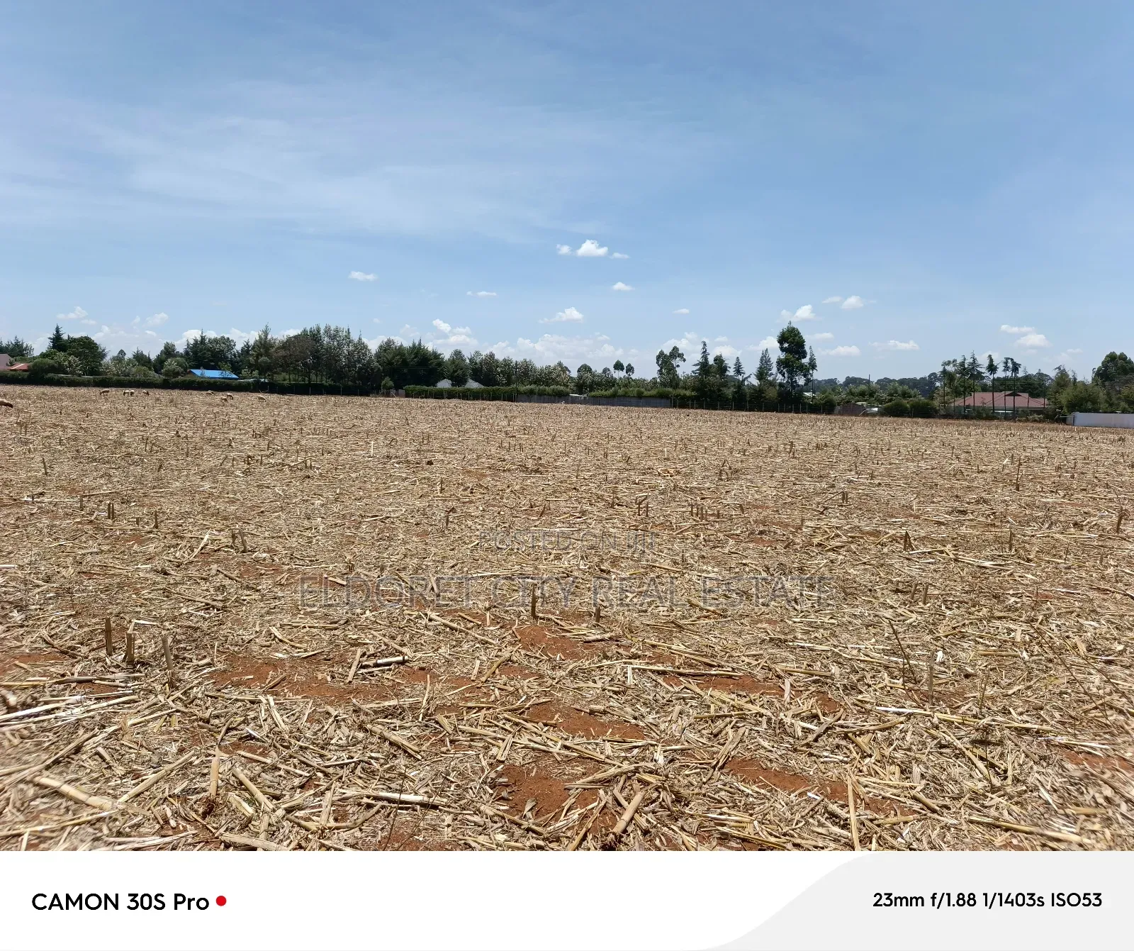 1/8 Plot Marura Chemaluk Area. in Kapsuswa
