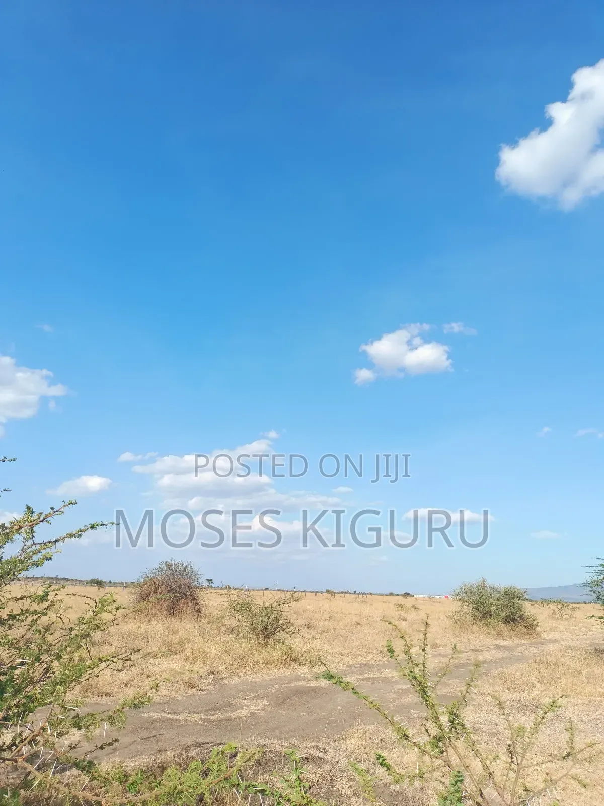 Muthaara 40x80 Plots. in Witethie