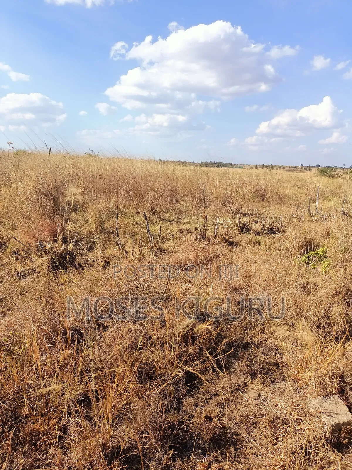 Muthaara 40x80 Plots. in Witethie