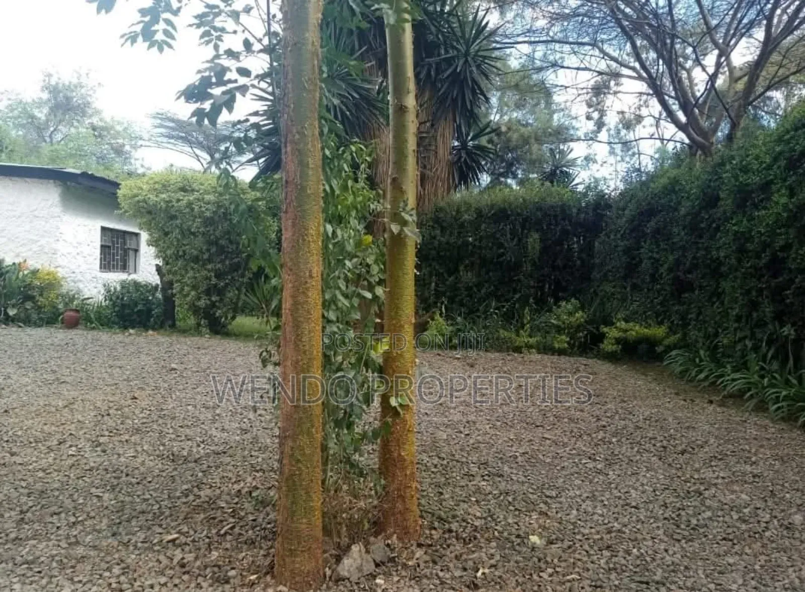 3bdrm Bungalow in Karen C for rent in Karen C
