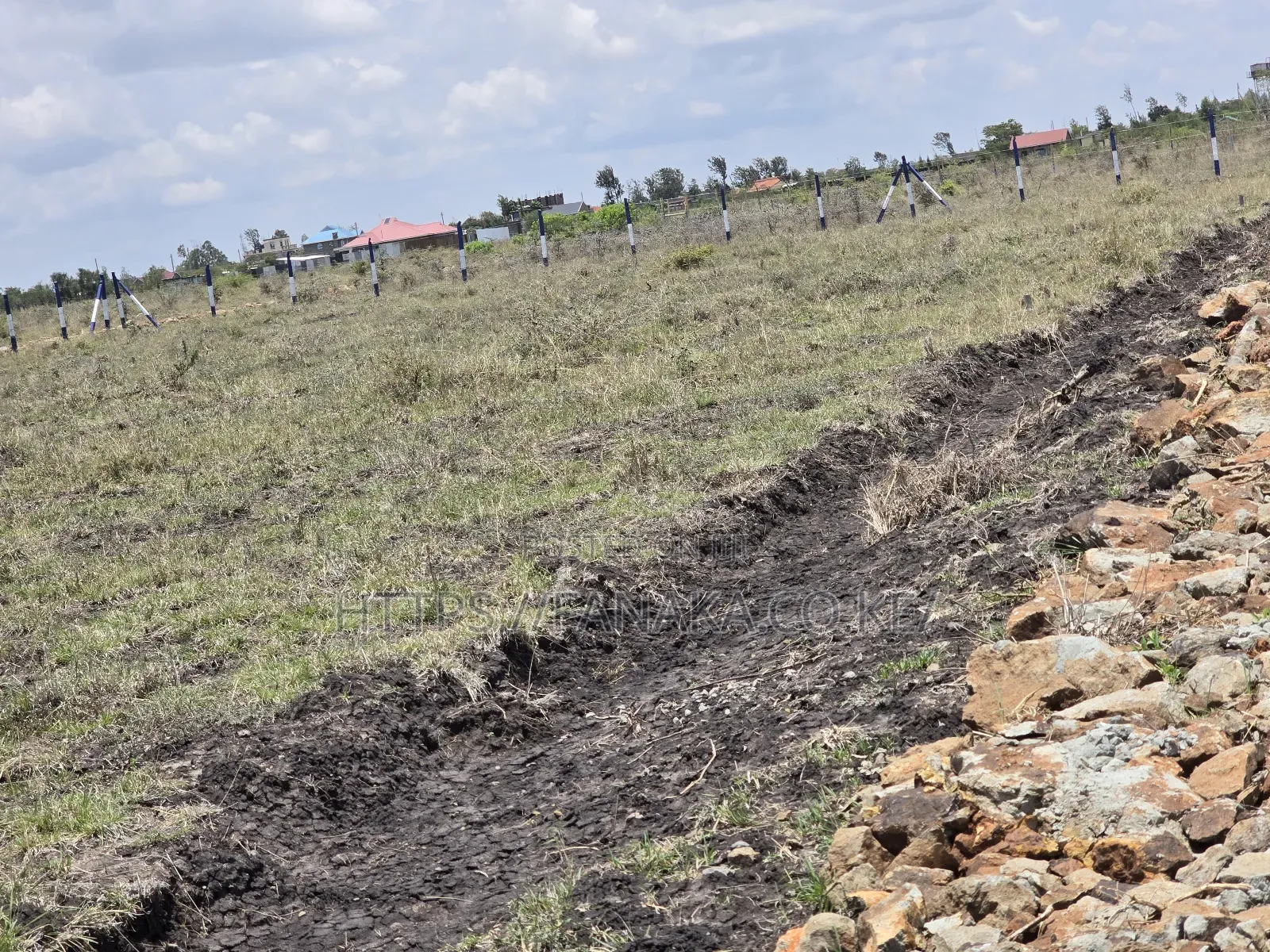 Well-Developed Gated Plots in Ruiru-Kamakis ^Jm in Kamakis