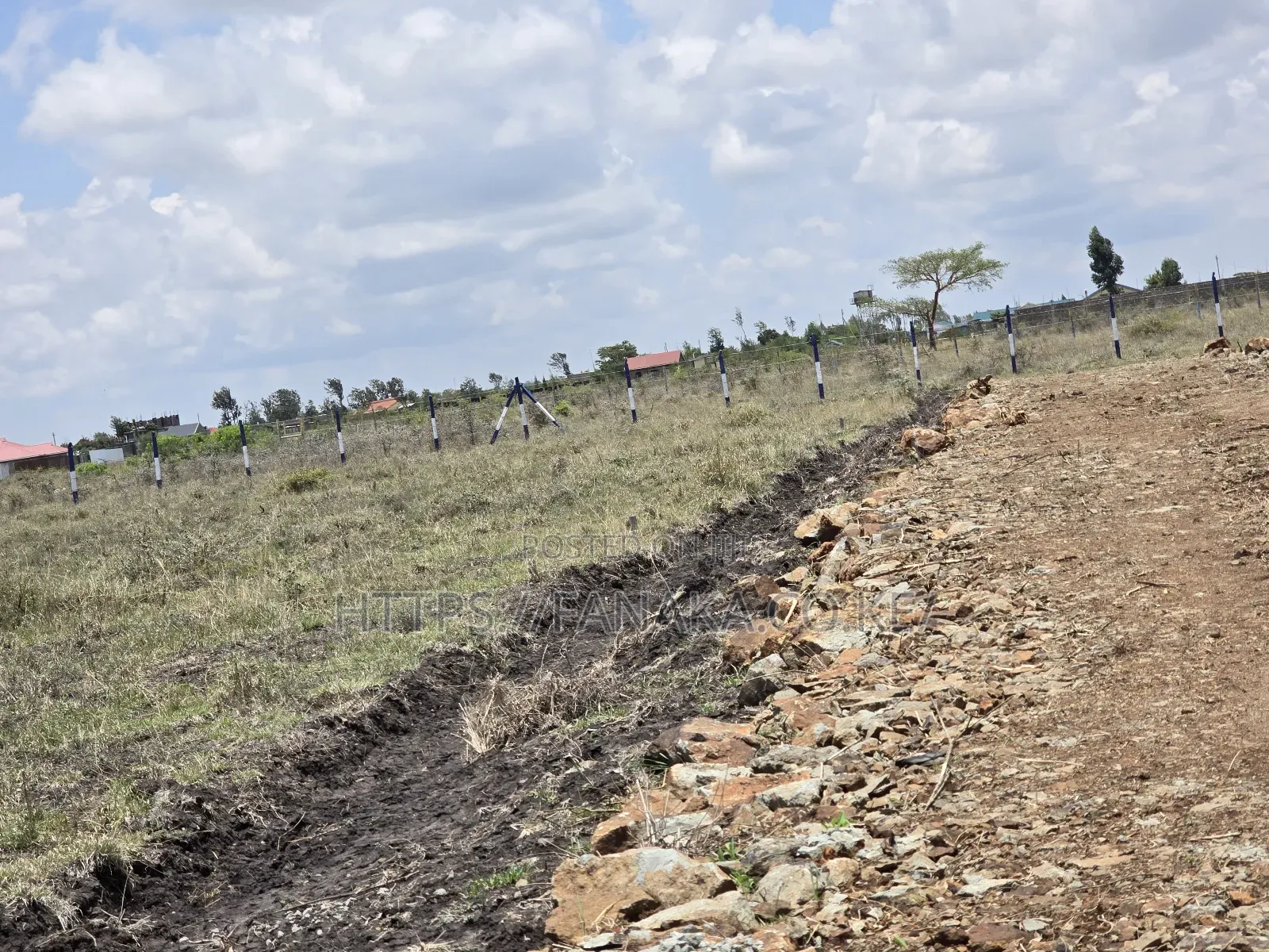 Well-Developed Gated Plots in Ruiru-Kamakis ^Jm in Kamakis