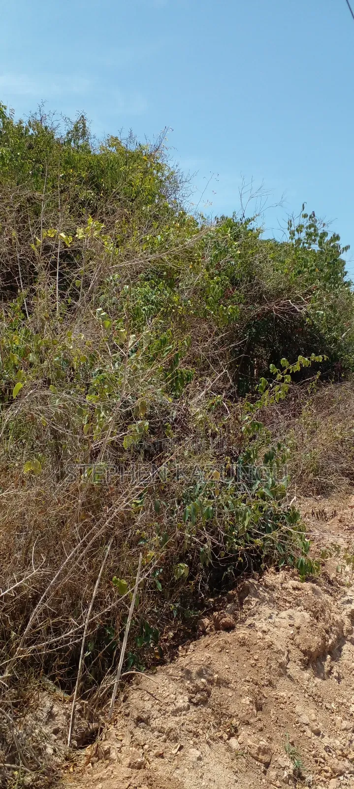 1/2 Acre Plot on 3rd Row in Galu Beach in Ukunda