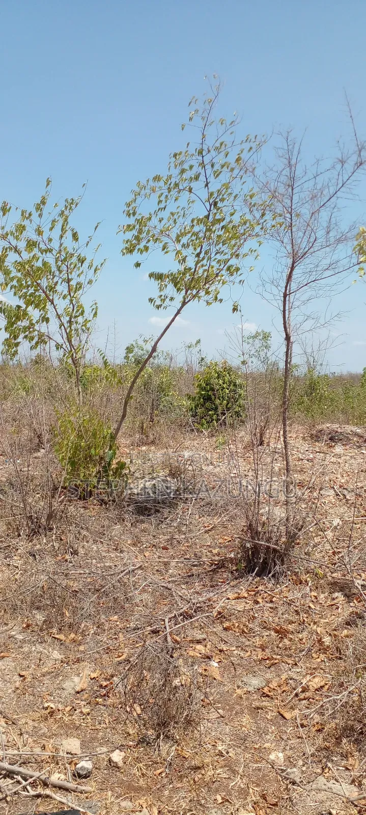 1/2 Acre Plot on 3rd Row in Galu Beach in Ukunda