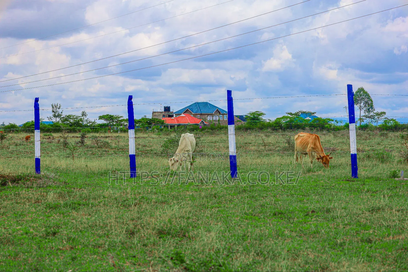 Prime Residential Plots for Sale in Kamakis in Ruiru