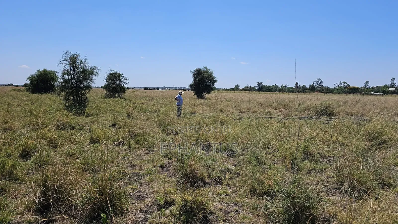 Prime Plots in Isinya Only 200 MTRS From Tarmac in Kitengela