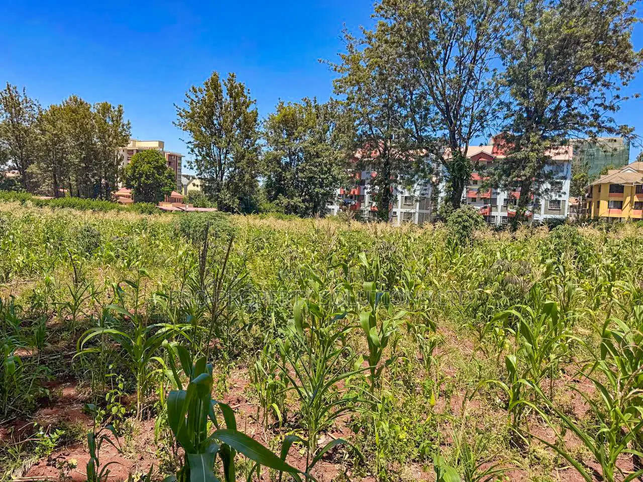 Commercial 3/4 Acre Plot for Sale in Thindigua, Kiambu in Kiambu