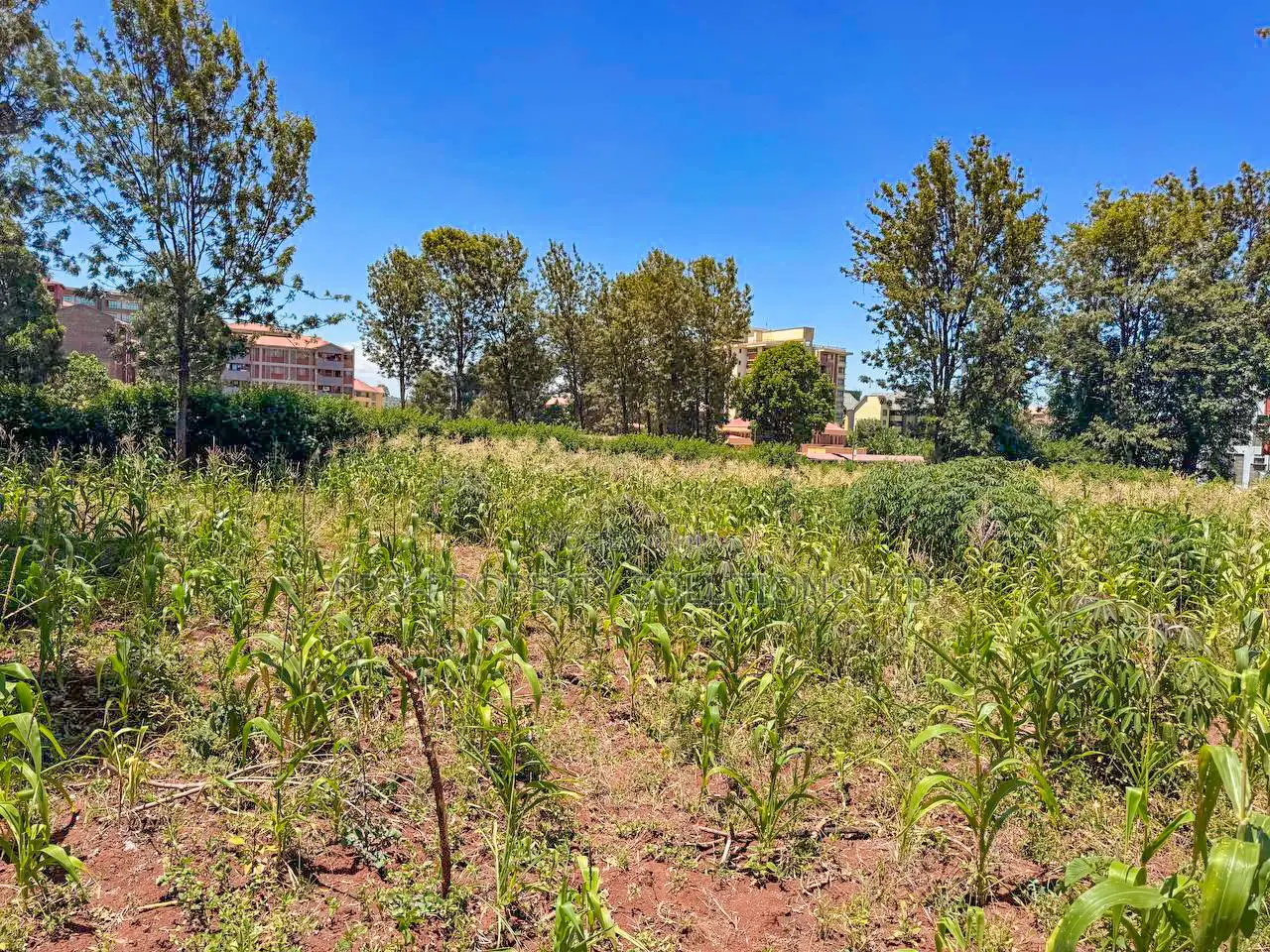 Commercial 3/4 Acre Plot for Sale in Thindigua, Kiambu in Kiambu