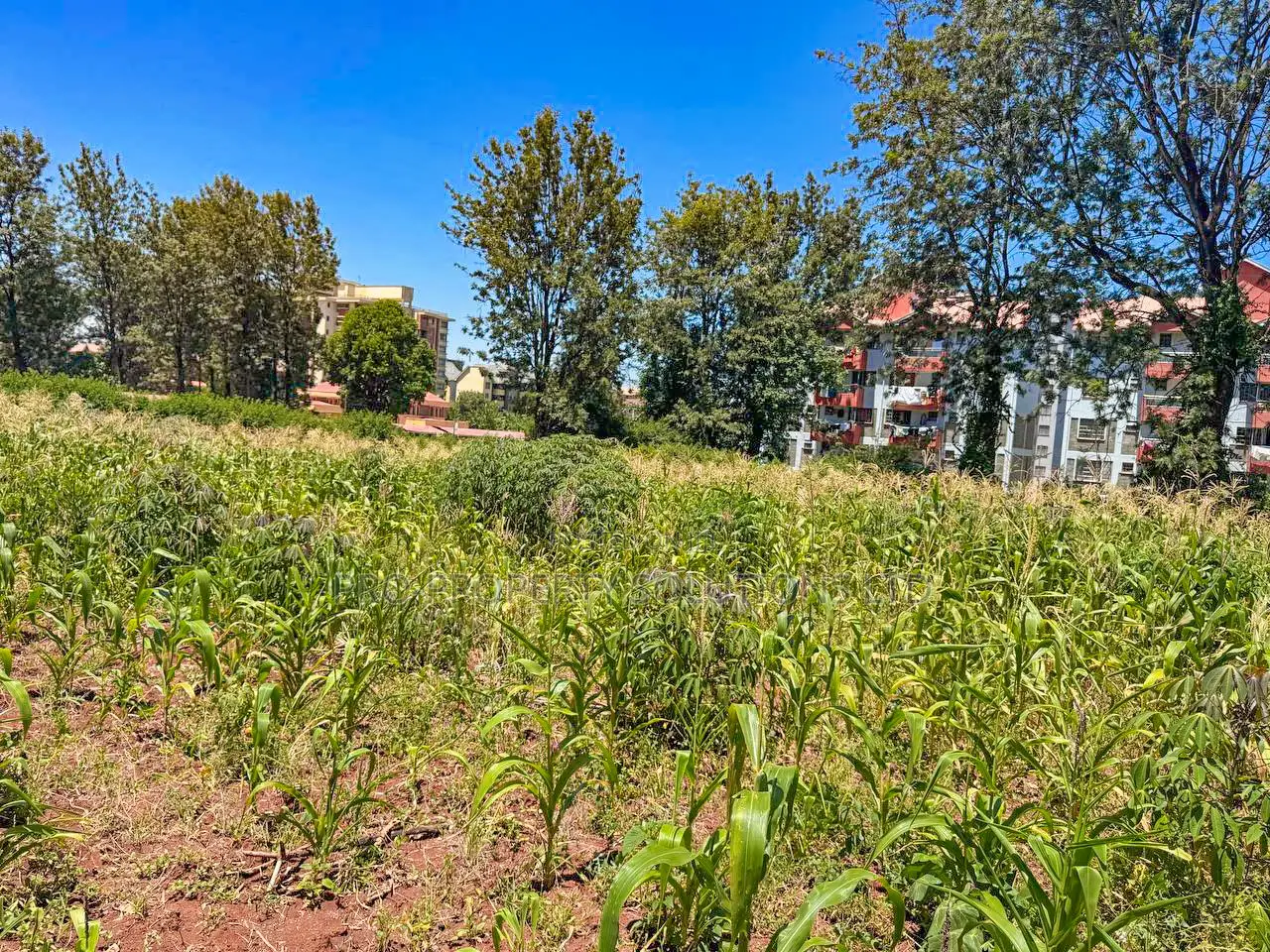 Commercial 3/4 Acre Plot for Sale in Thindigua, Kiambu in Kiambu