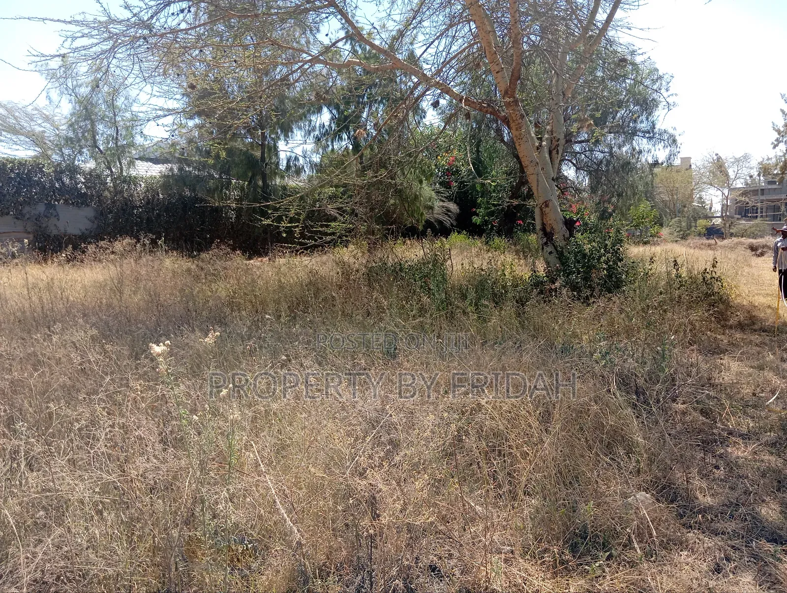 50/100 Plot for Sale in Utumishi, Kitengela in Kitengela