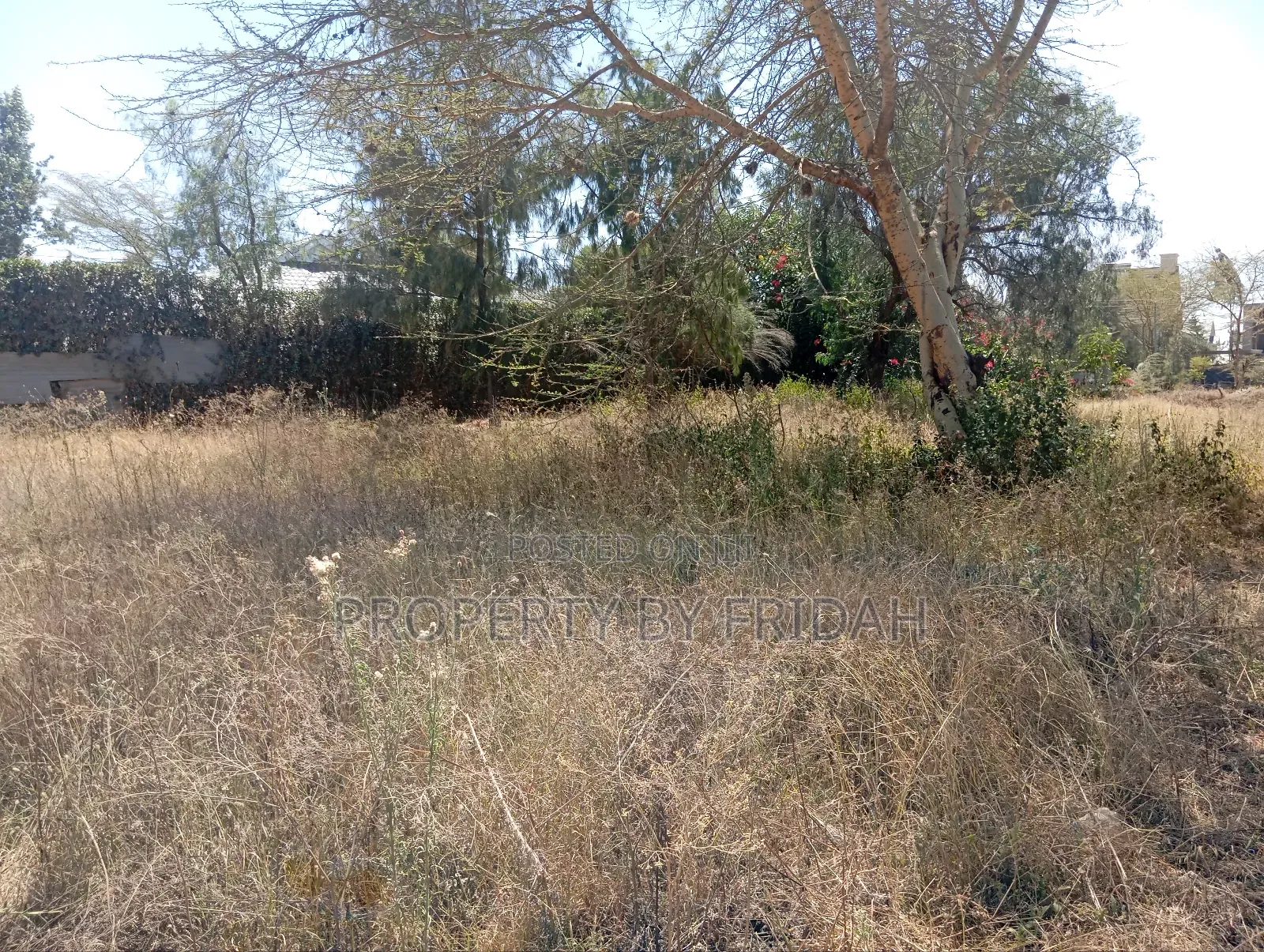 50/100 Plot for Sale in Utumishi, Kitengela in Kitengela