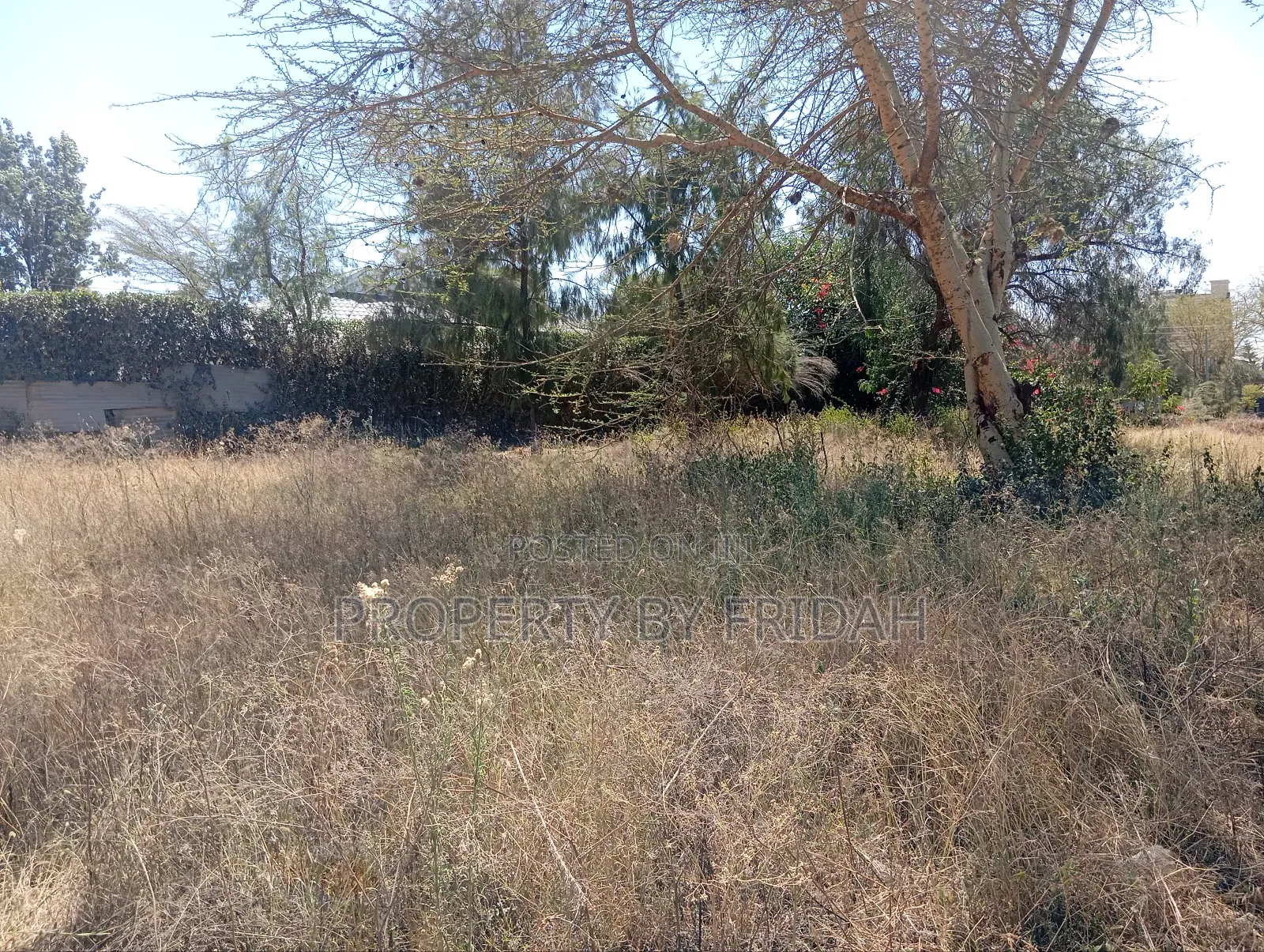 50/100 Plot for Sale in Utumishi, Kitengela in Kitengela