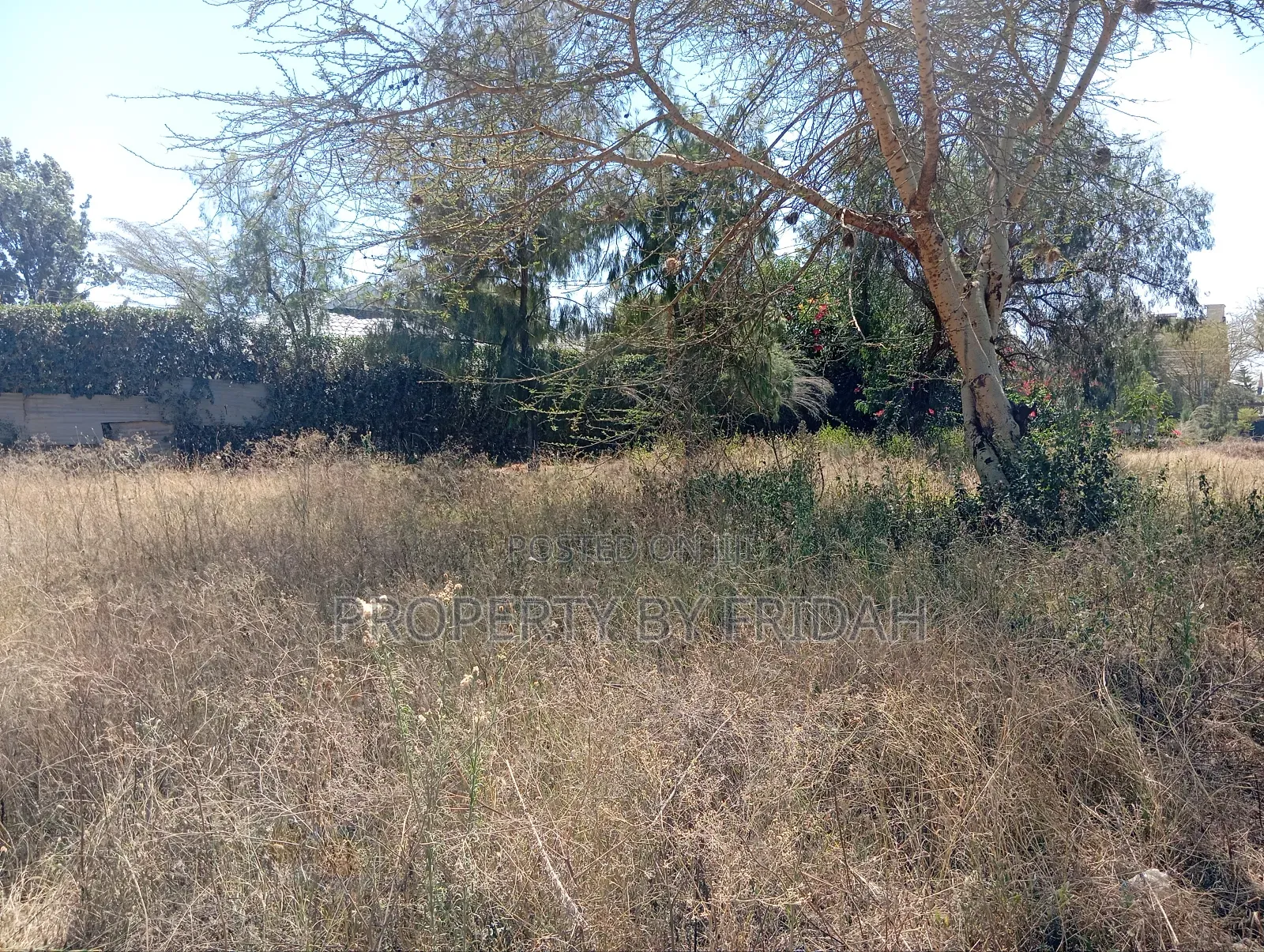 50/100 Plot for Sale in Utumishi, Kitengela in Kitengela