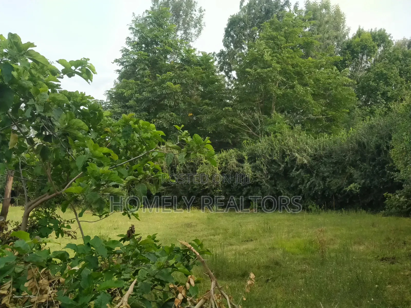 Eighth Acre Corner Plot for Sale in Ngong, Bondeni Red Soil in Ngong