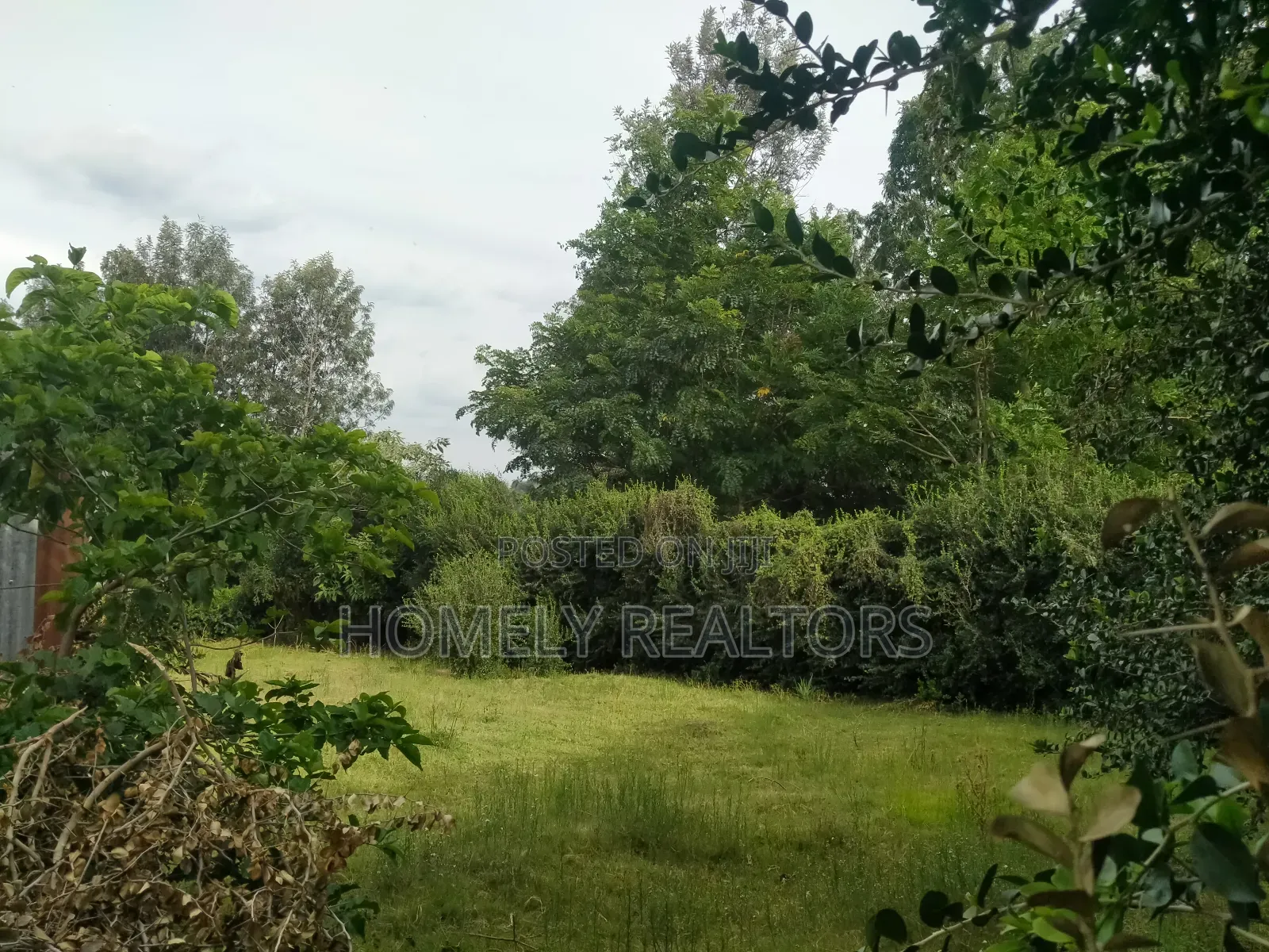 Eighth Acre Corner Plot for Sale in Ngong, Bondeni Red Soil in Ngong