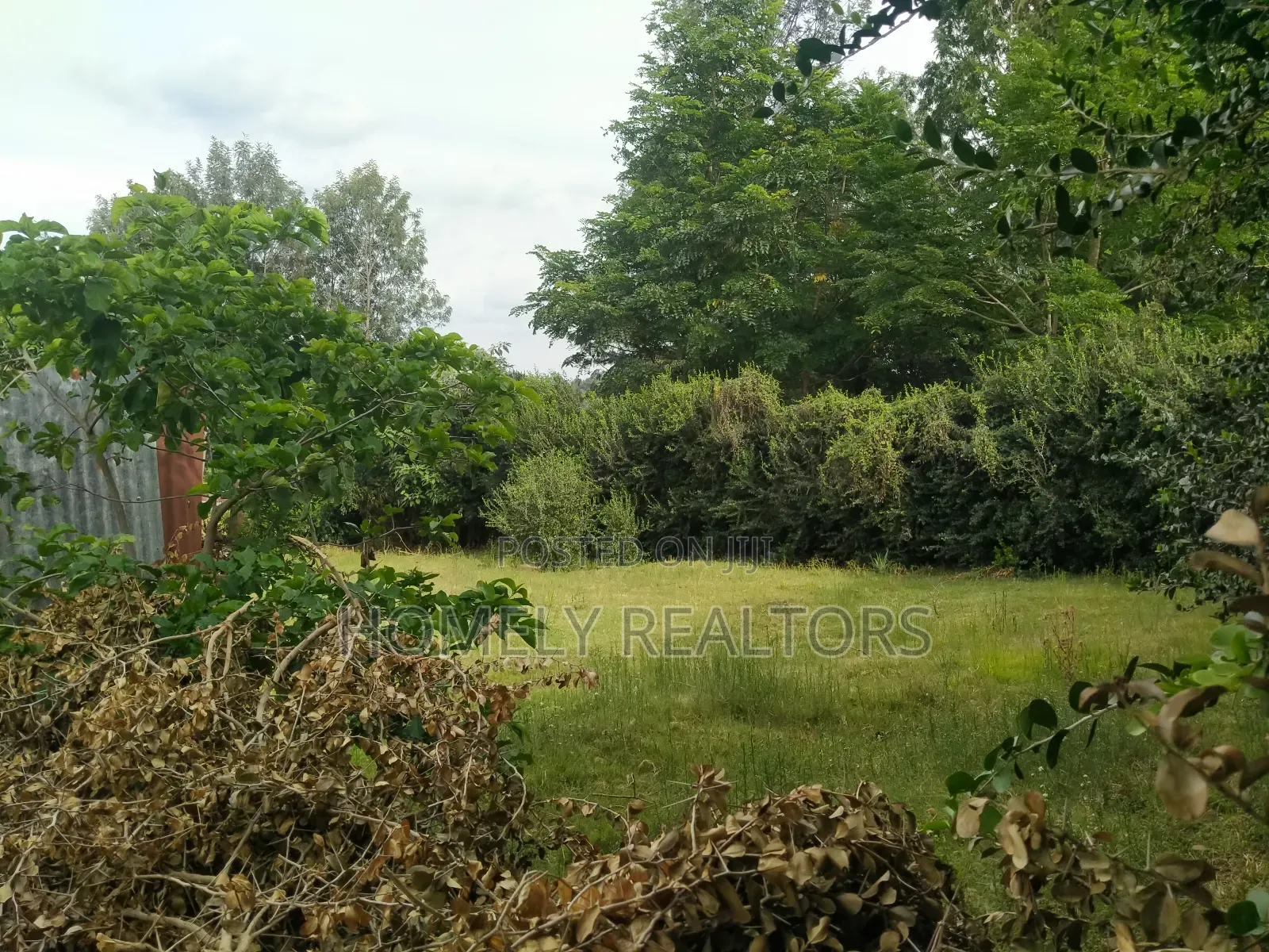 Eighth Acre Corner Plot for Sale in Ngong, Bondeni Red Soil in Ngong