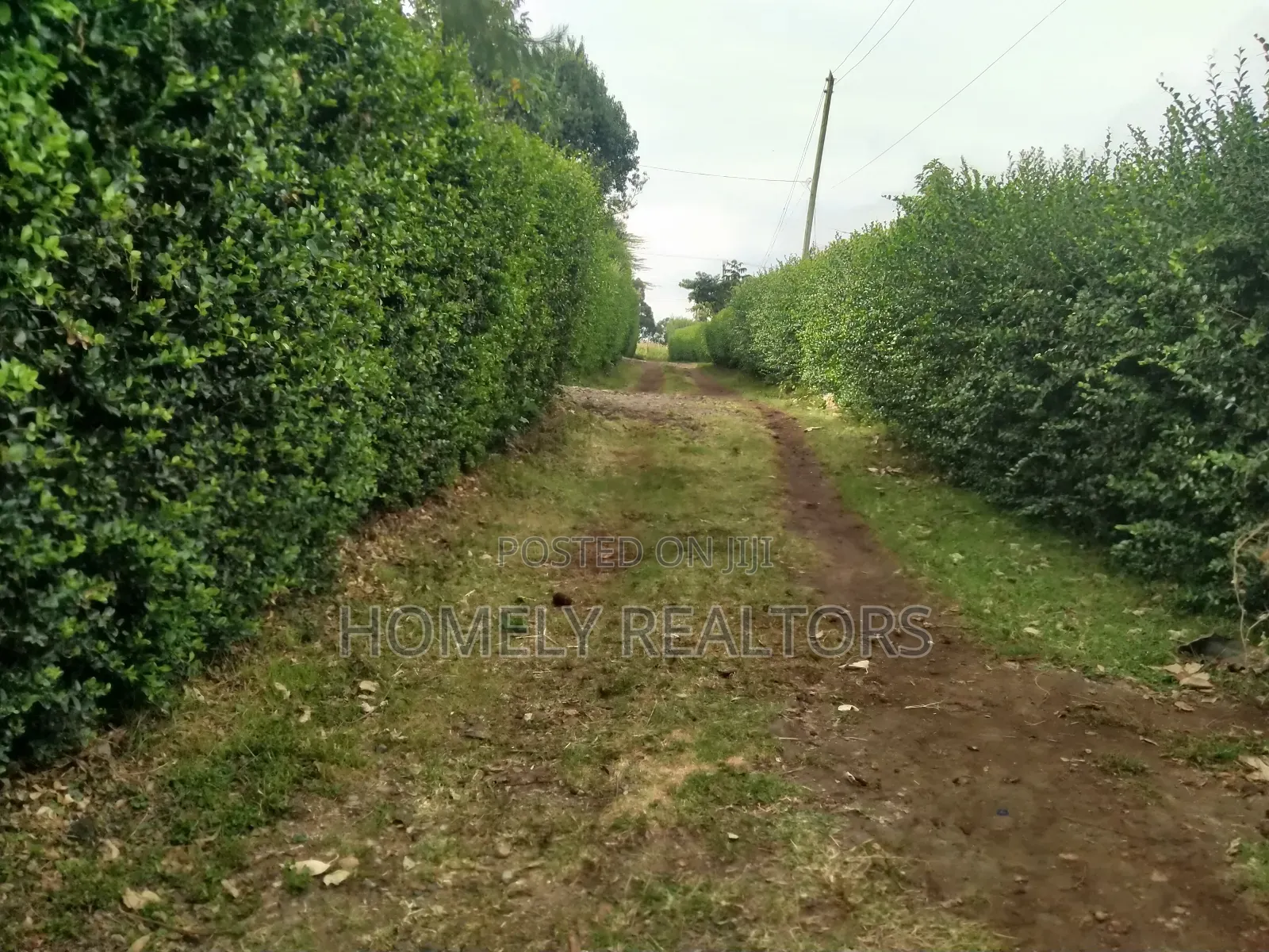 Eighth Acre Corner Plot for Sale in Ngong, Bondeni Red Soil in Ngong