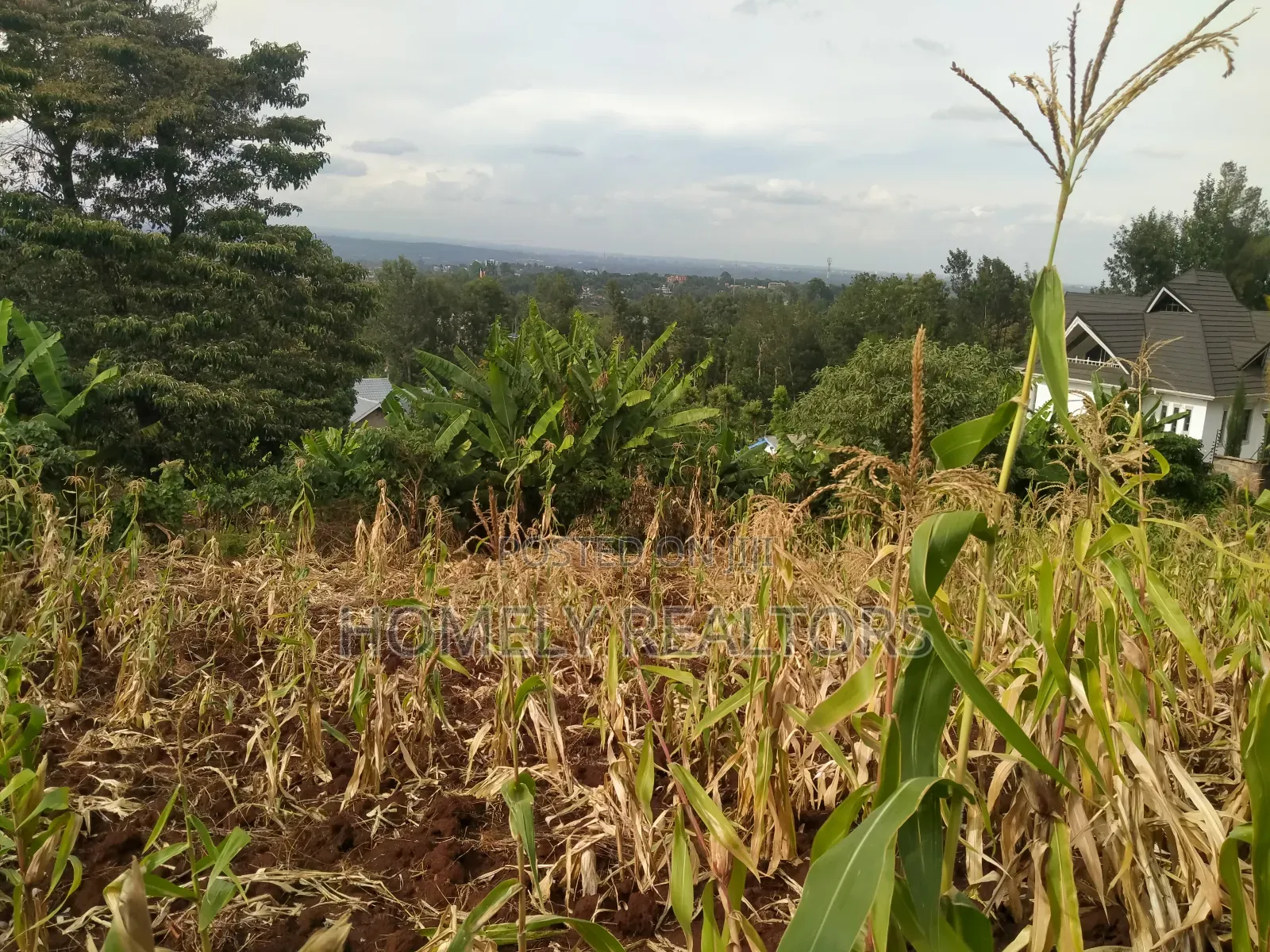 Quarter Acre Red Soil Plot for Sale in Bondeni, Ngong in Ngong