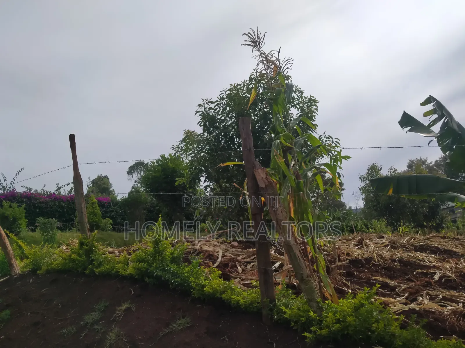 Beautiful Quarter Acre Plot in Ngong, Bondeni for Sale in Ngong
