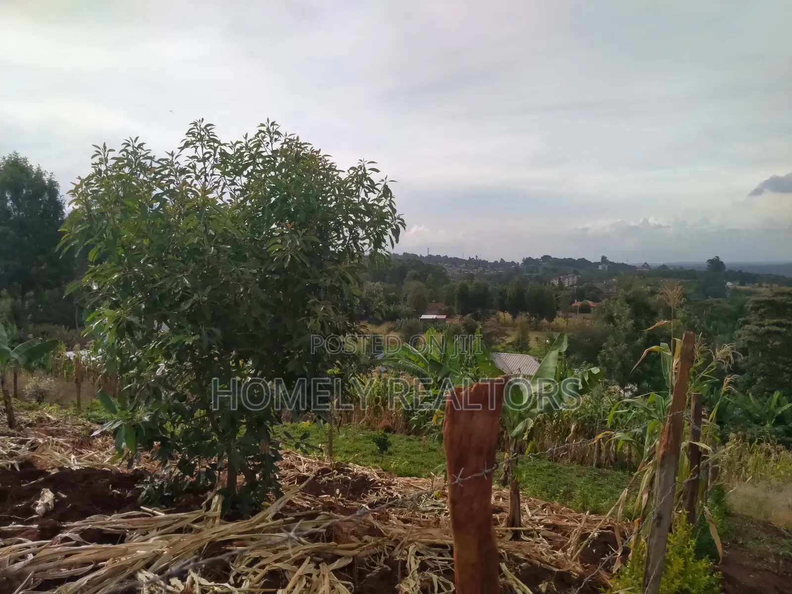Beautiful Quarter Acre Plot in Ngong, Bondeni for Sale in Ngong