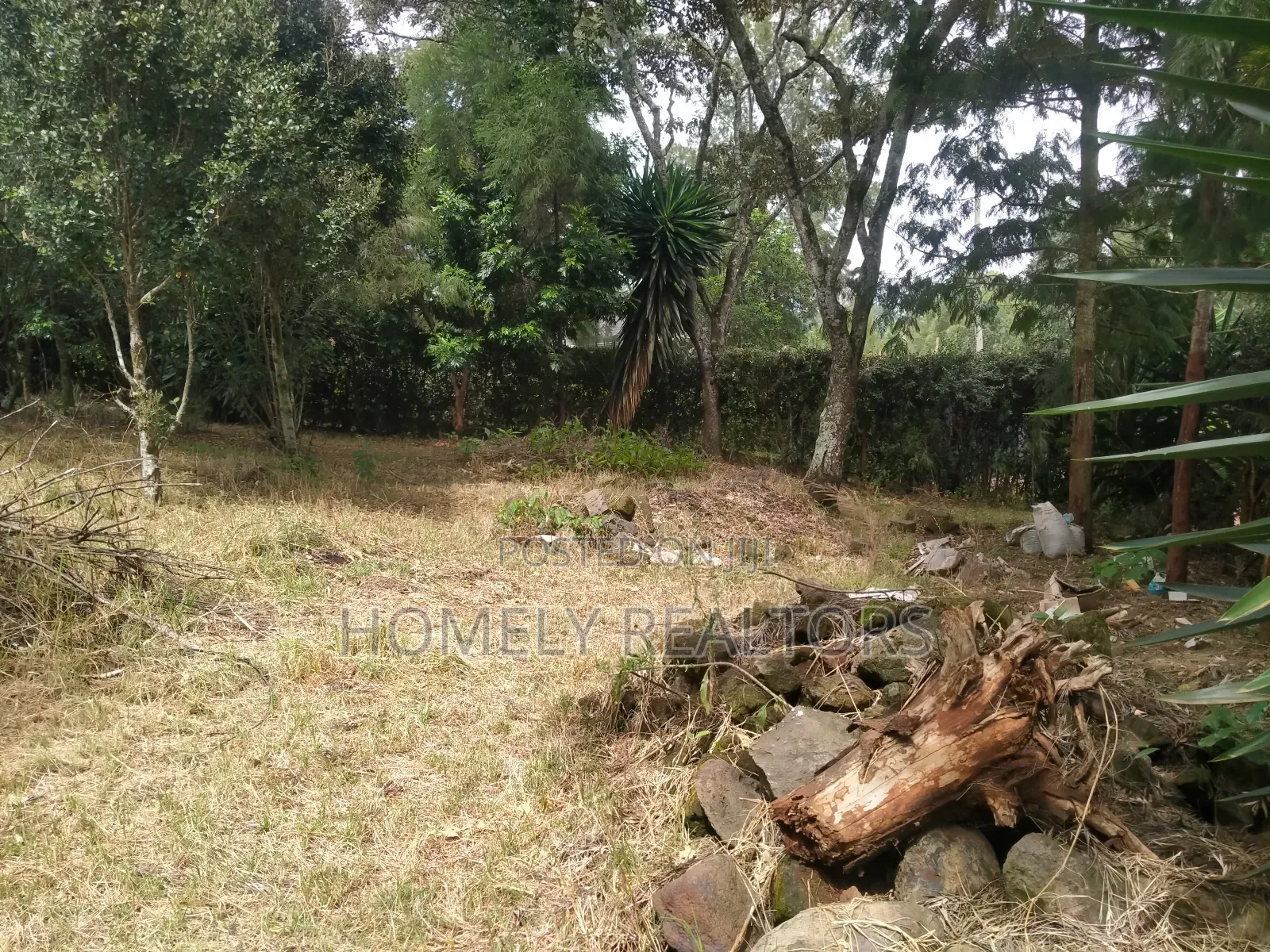 Large Residential Eighth Acre Red Soil Plot in Ngong Bondeni in Ngong