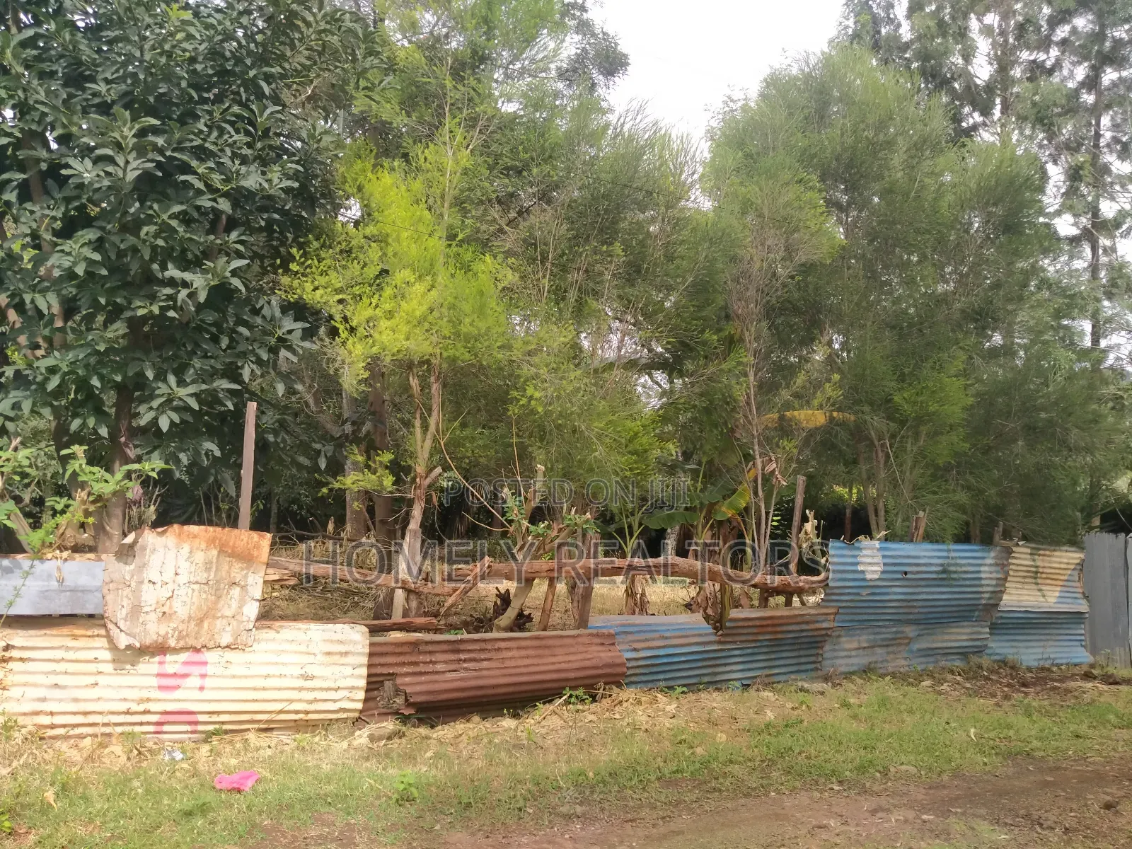 Large Residential Eighth Acre Red Soil Plot in Ngong Bondeni in Ngong
