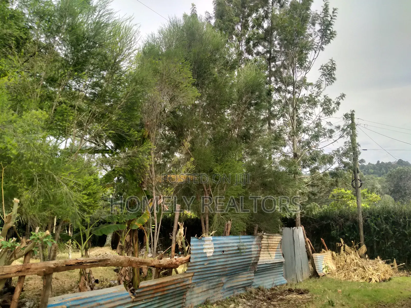 Large Residential Eighth Acre Red Soil Plot in Ngong Bondeni in Ngong