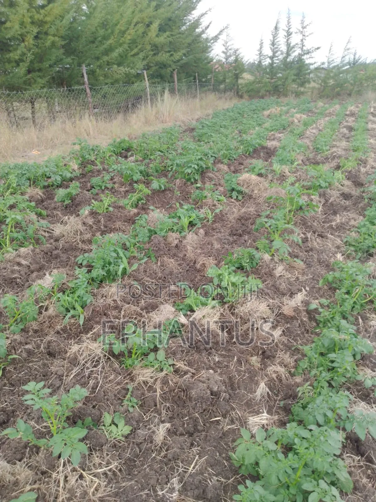 Land for Sale in Nyeri Munyu With a House in Nyeri Town
