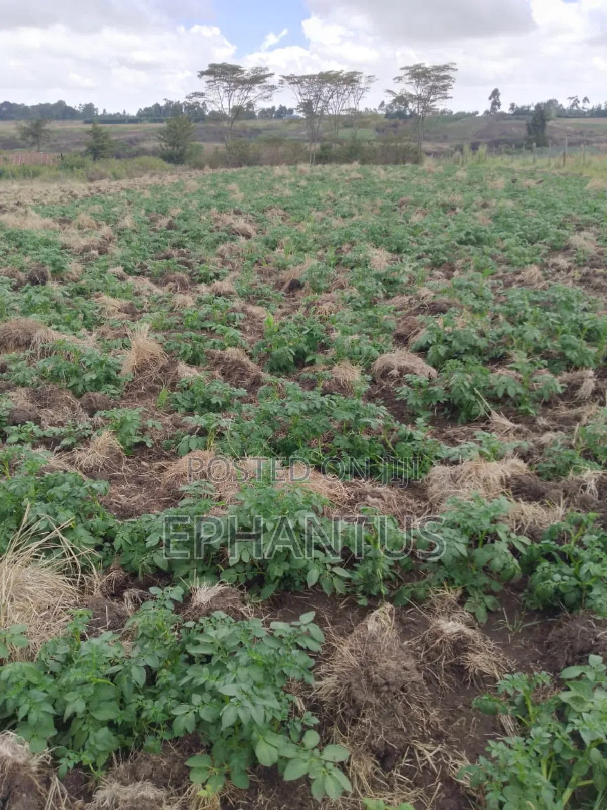Land for Sale in Nyeri Munyu With a House in Nyeri Town