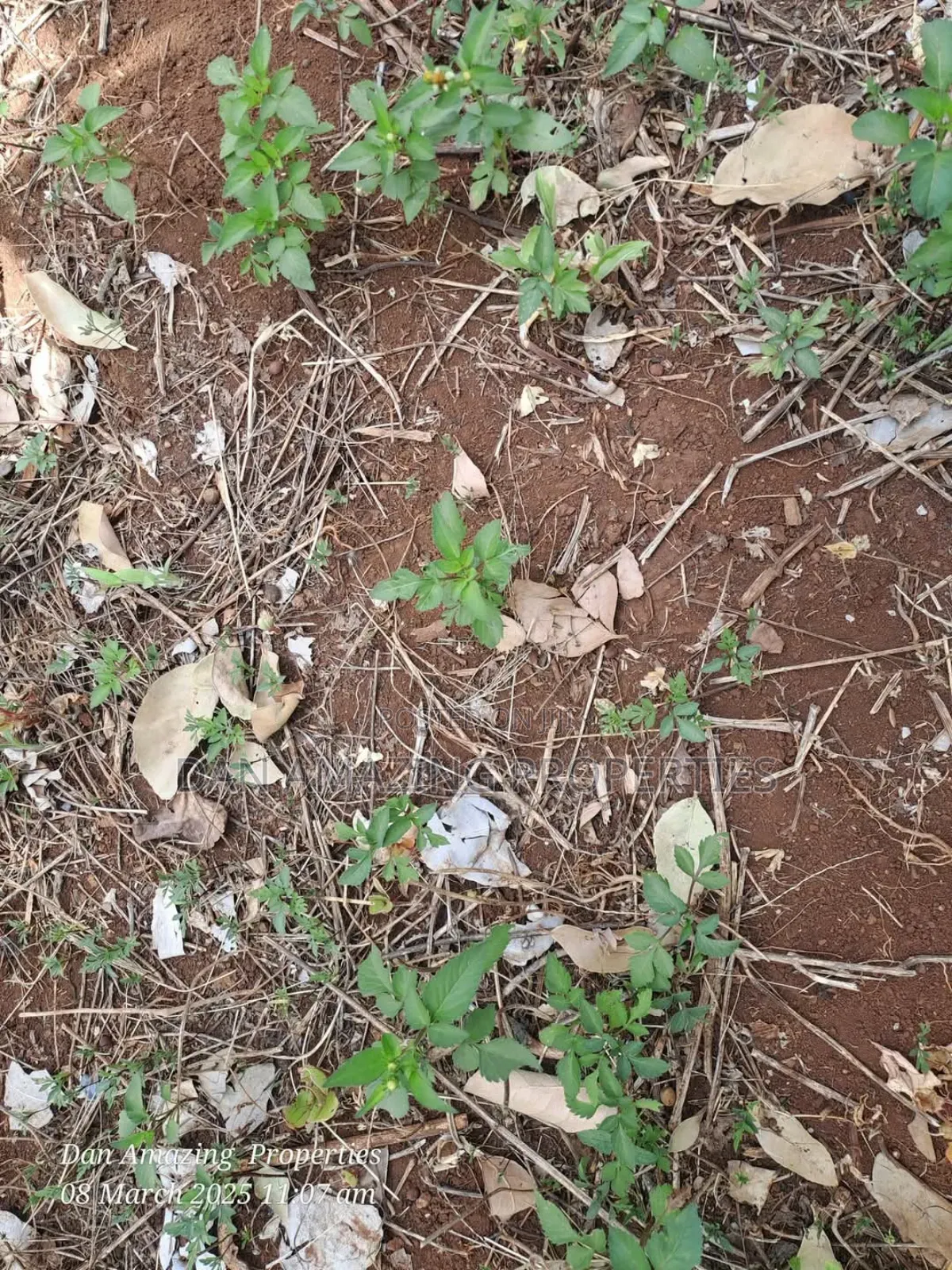 1/4 an Acre Land in Gated Community Matasia for Sale in Matasia