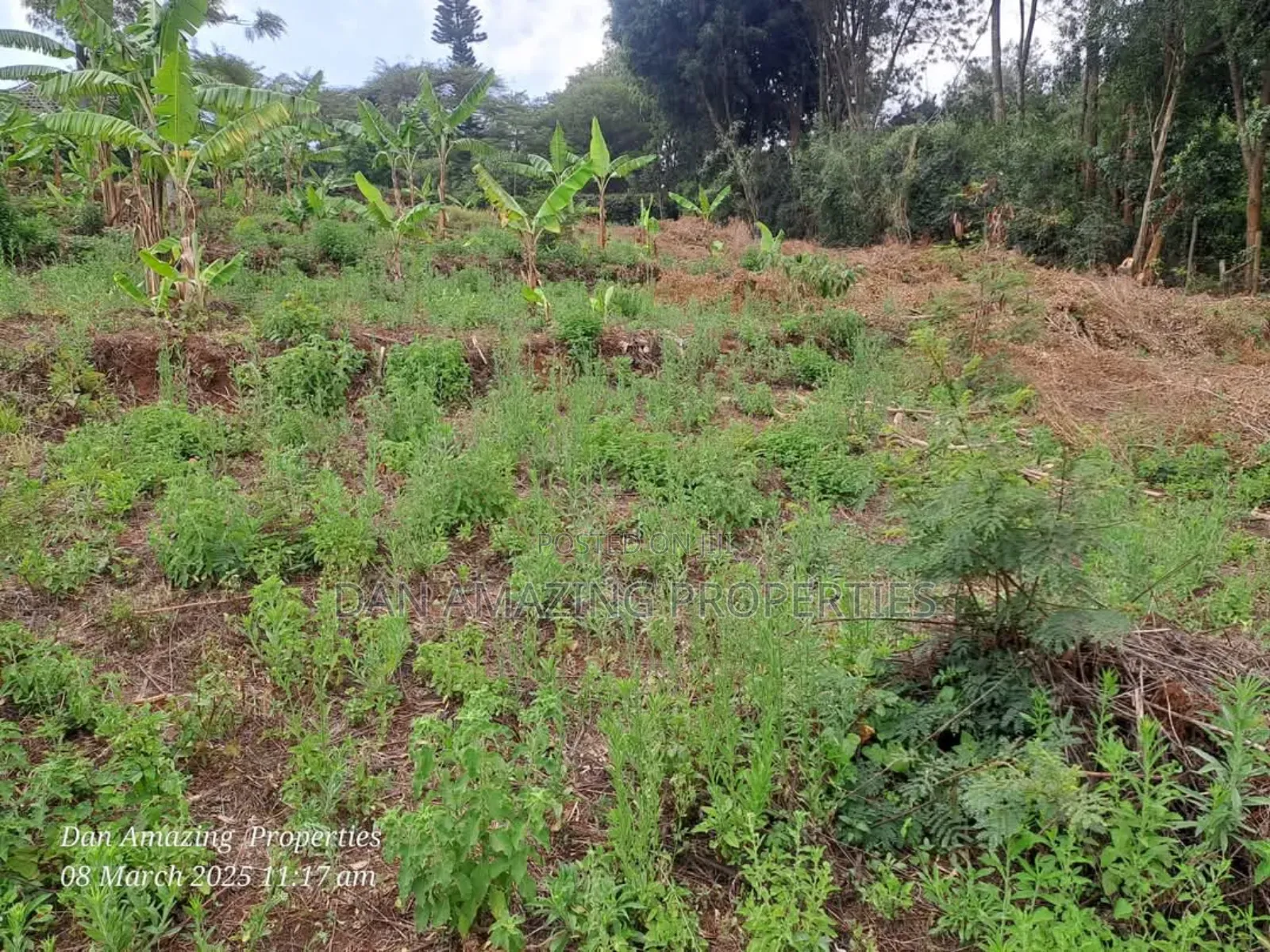1/4 an Acre Land in Gated Community Matasia for Sale in Matasia