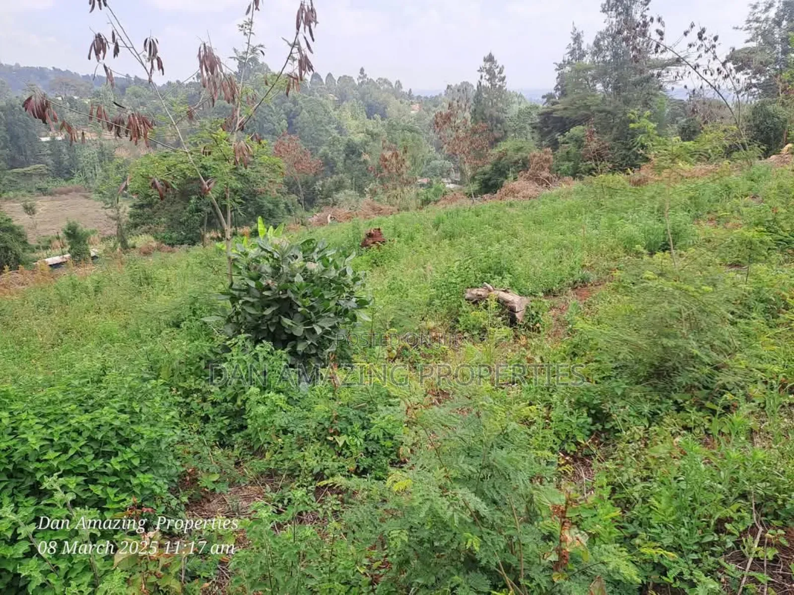 1/4 an Acre Land in Gated Community Matasia for Sale in Matasia